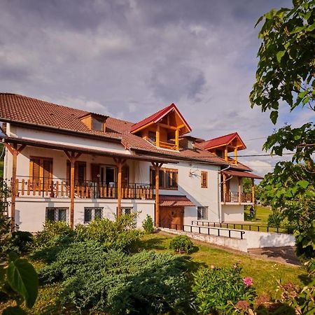 Vila Tara Hategului Haţeg Exterior foto