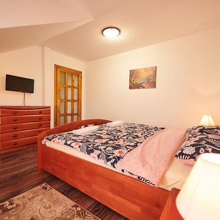 Vila Tara Hategului Haţeg Exterior foto