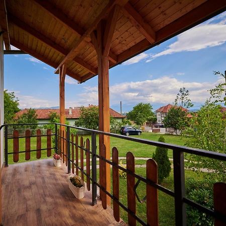 Vila Tara Hategului Haţeg Exterior foto