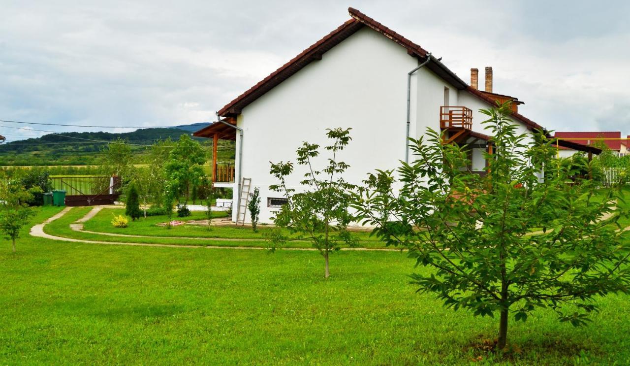 Vila Tara Hategului Haţeg Exterior foto