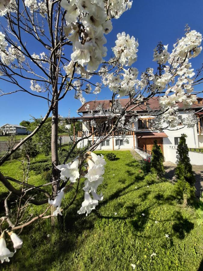 Vila Tara Hategului Haţeg Exterior foto