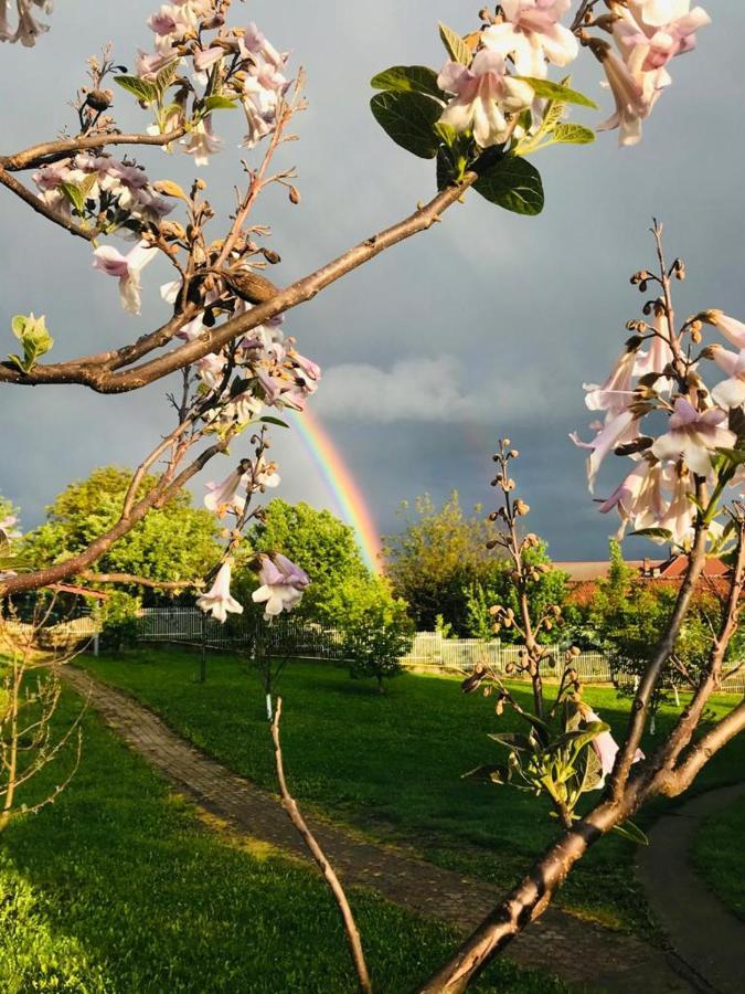 Vila Tara Hategului Haţeg Exterior foto