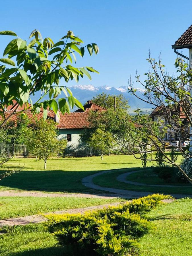 Vila Tara Hategului Haţeg Exterior foto