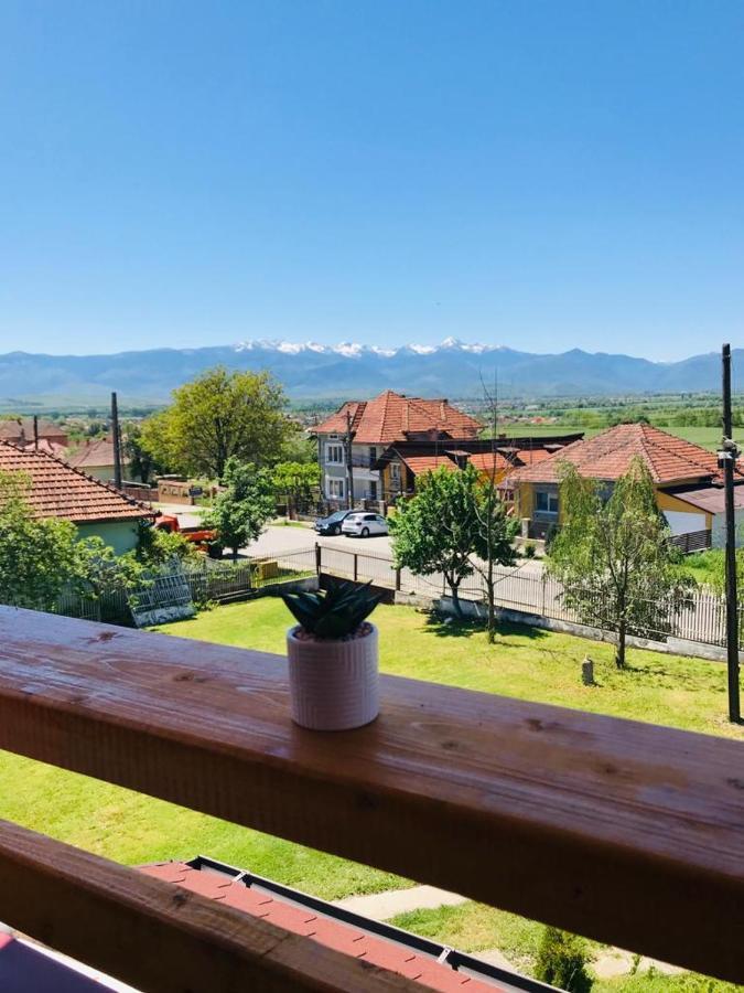 Vila Tara Hategului Haţeg Exterior foto