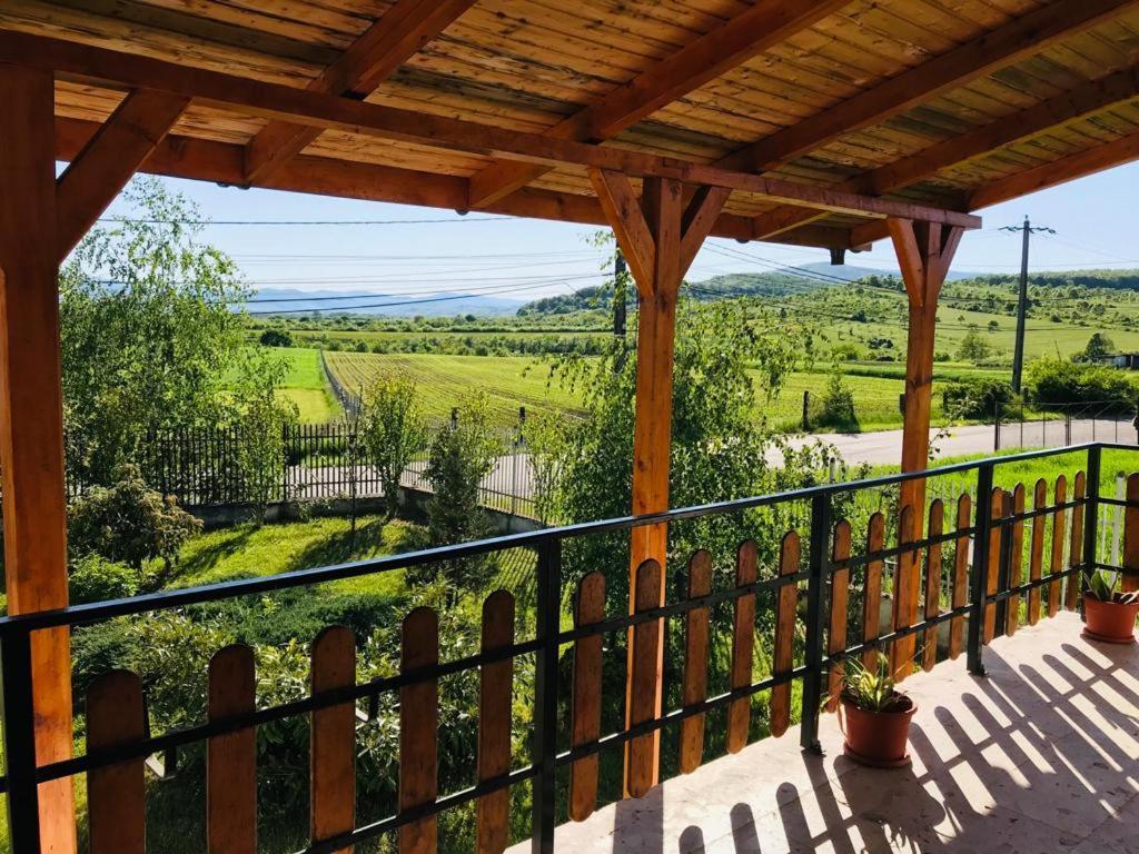 Vila Tara Hategului Haţeg Exterior foto