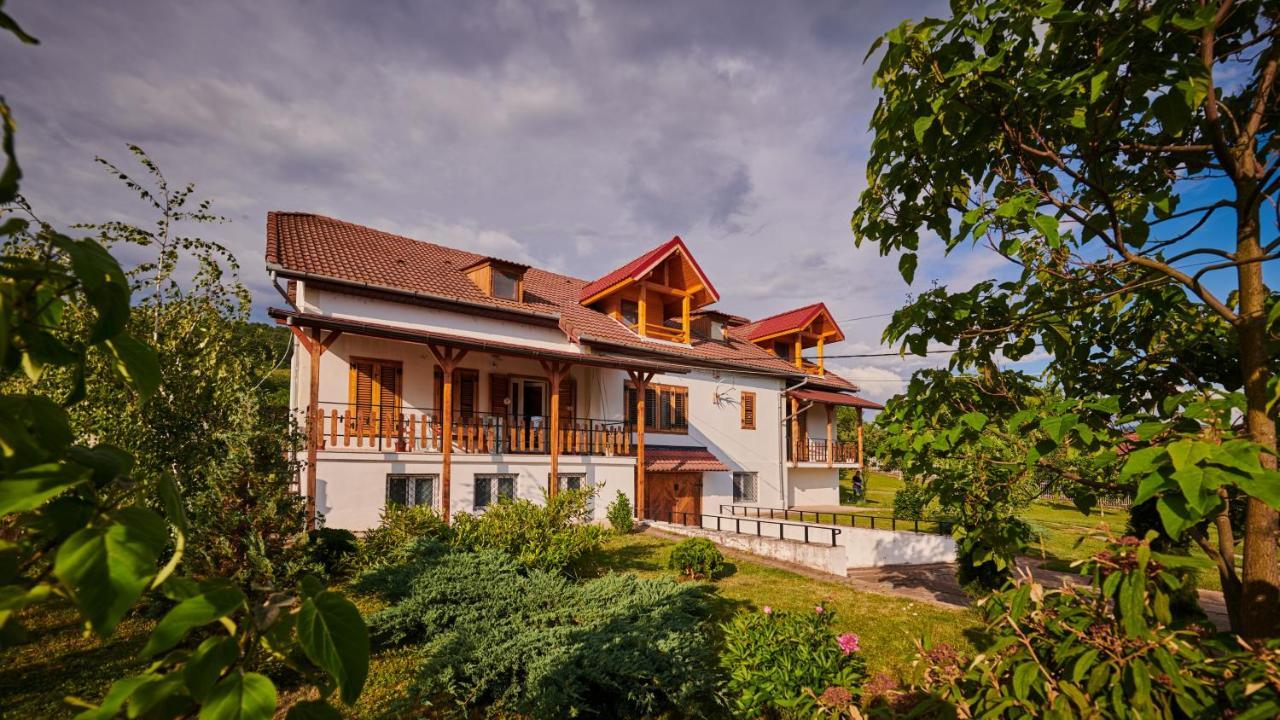 Vila Tara Hategului Haţeg Exterior foto