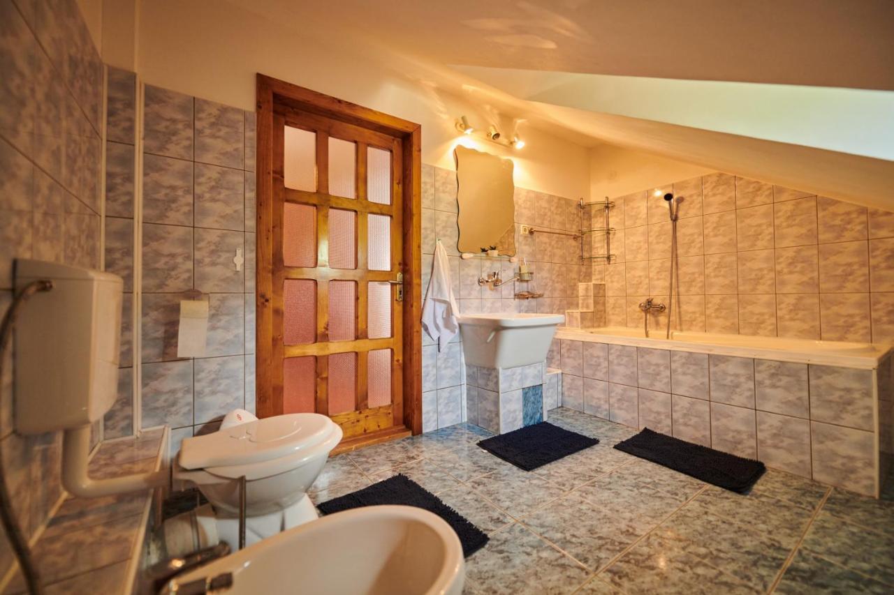 Vila Tara Hategului Haţeg Exterior foto