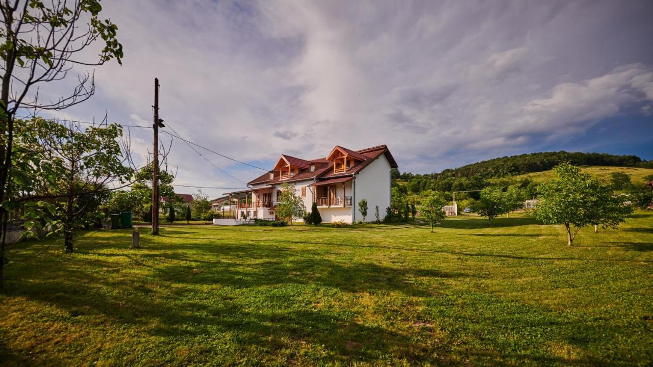 Vila Tara Hategului Haţeg Exterior foto
