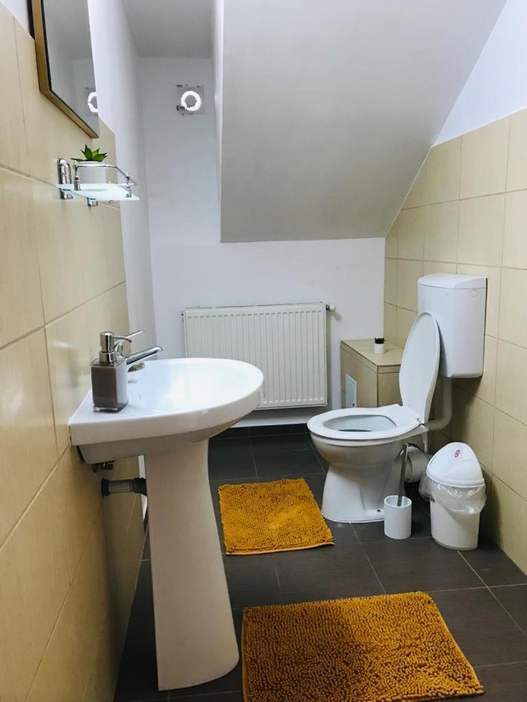 Vila Tara Hategului Haţeg Quarto foto